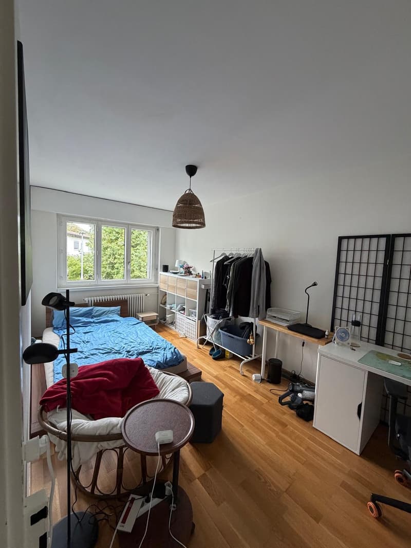 Ruhiges Zimmer in grüner Lage 2er WG in Zürich Leimbach (1)