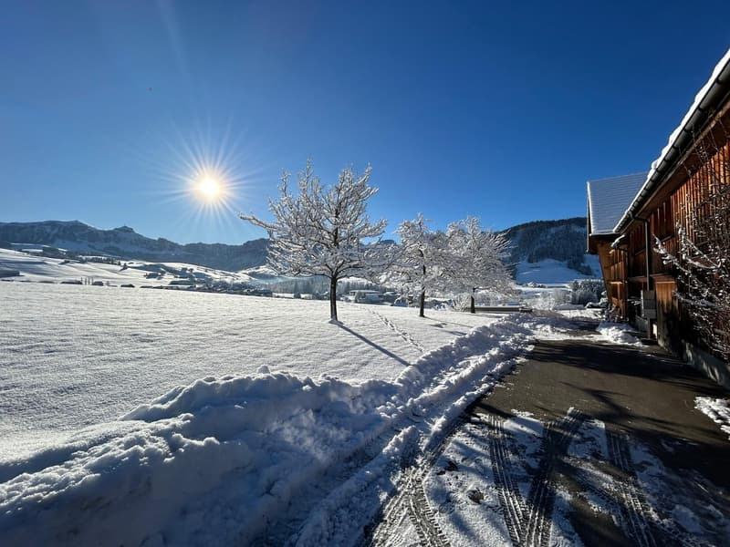 Winterlandschaft