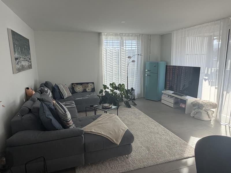 3 ½ Zimmer-Wohnung, 8404 Winterthur (4)