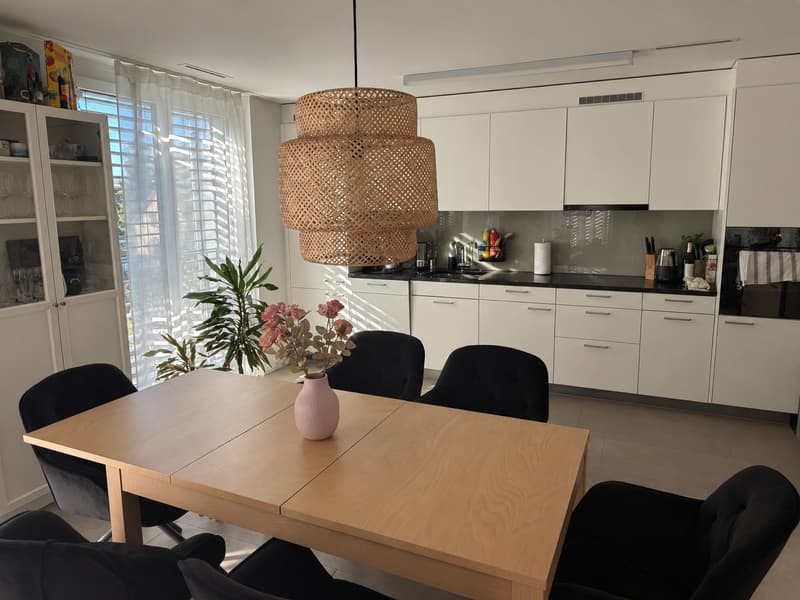 3 ½ Zimmer-Wohnung, 8404 Winterthur (1)