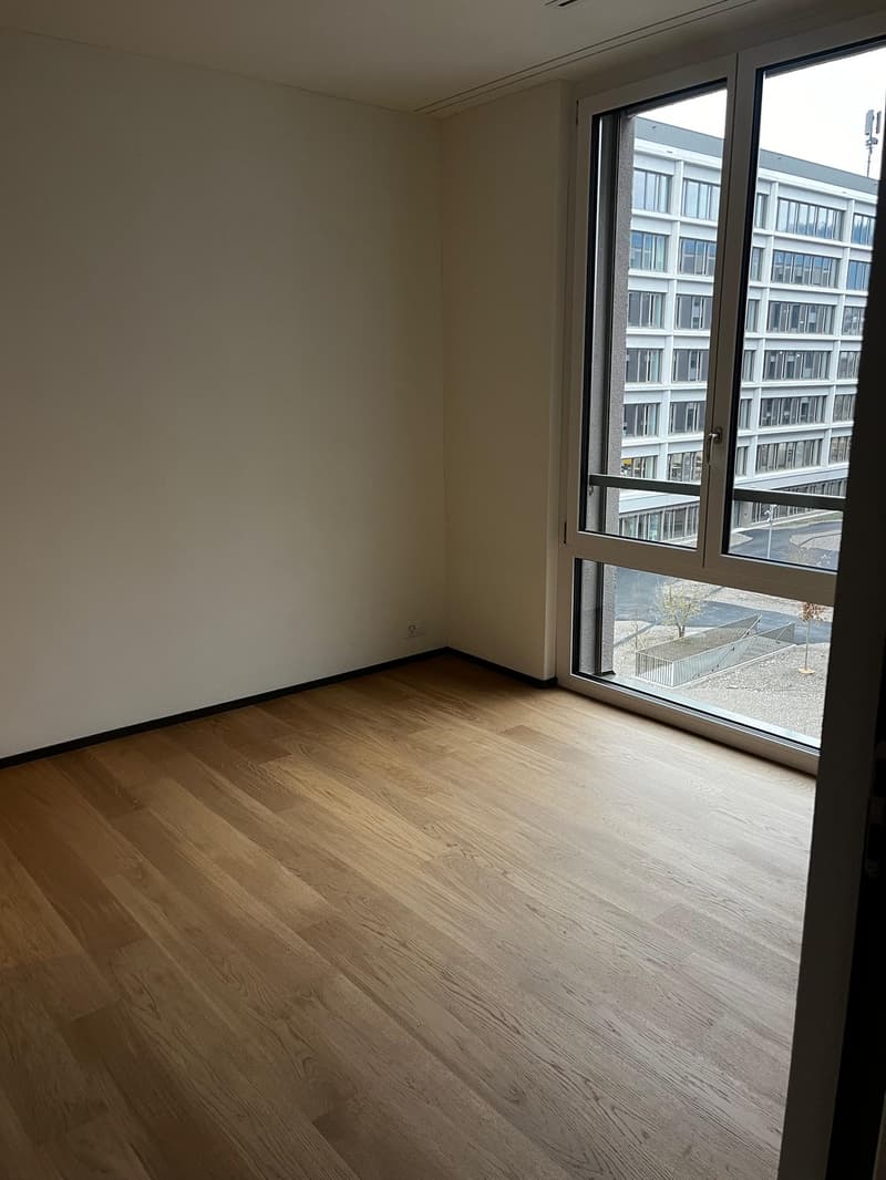 Modern 47 m² 1.5-room apartment in Zurich Manegg by the Sihl & train station (6)