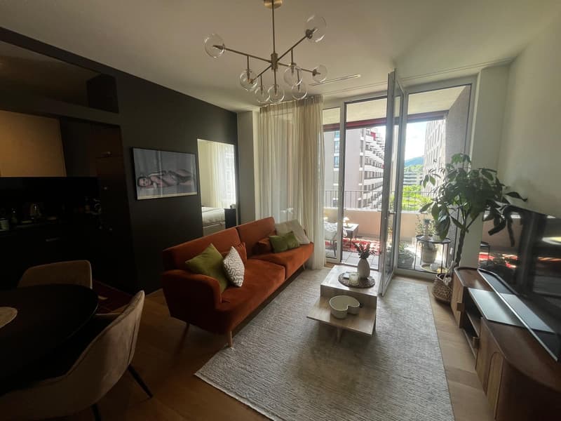 Modern 47 m² 1.5-room apartment in Zurich Manegg by the Sihl & train station (1)