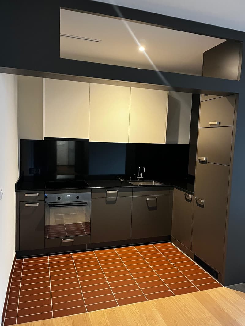 Modern 47 m² 1.5-room apartment in Zurich Manegg by the Sihl & train station (3)