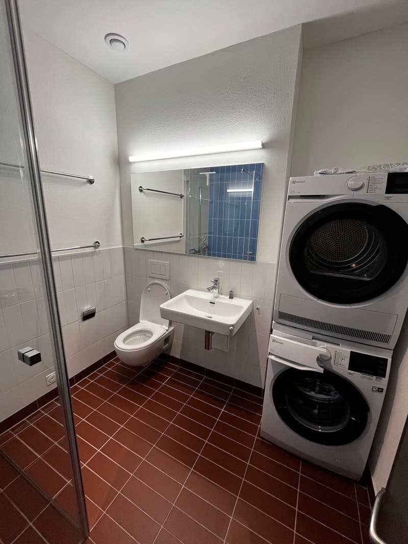 Modern 47 m² 1.5-room apartment in Zurich Manegg by the Sihl & train station (8)