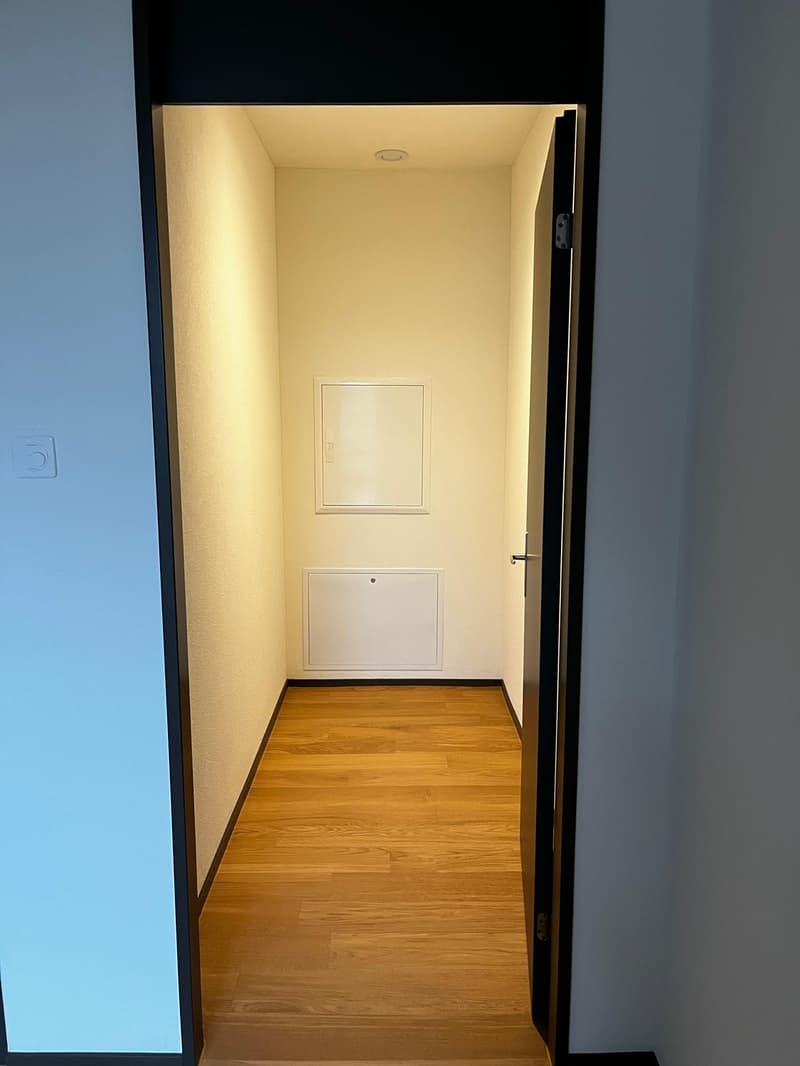 Modern 47 m² 1.5-room apartment in Zurich Manegg by the Sihl & train station (7)