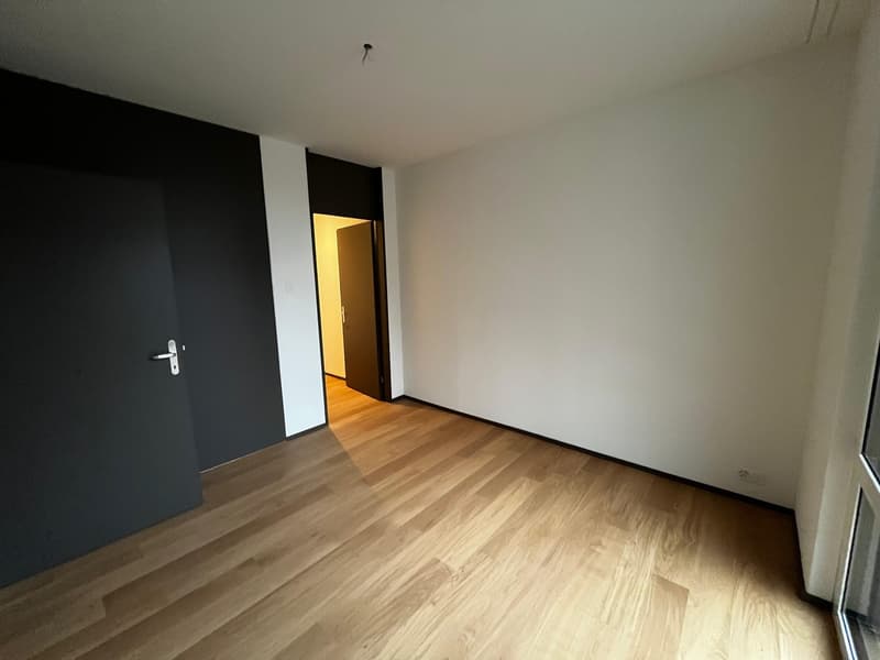 Modern 47 m² 1.5-room apartment in Zurich Manegg by the Sihl & train station (5)