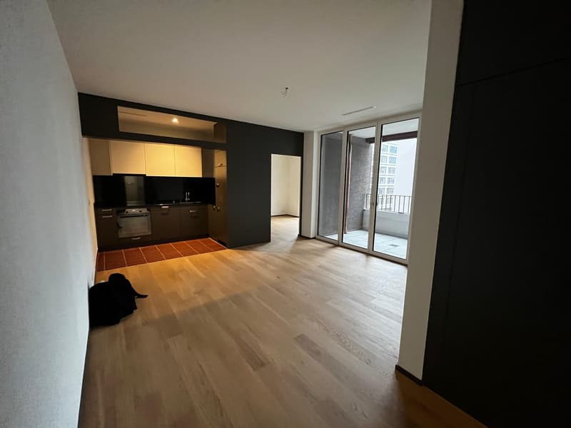 Modern 47 m² 1.5-room apartment in Zurich Manegg by the Sihl & train station (2)