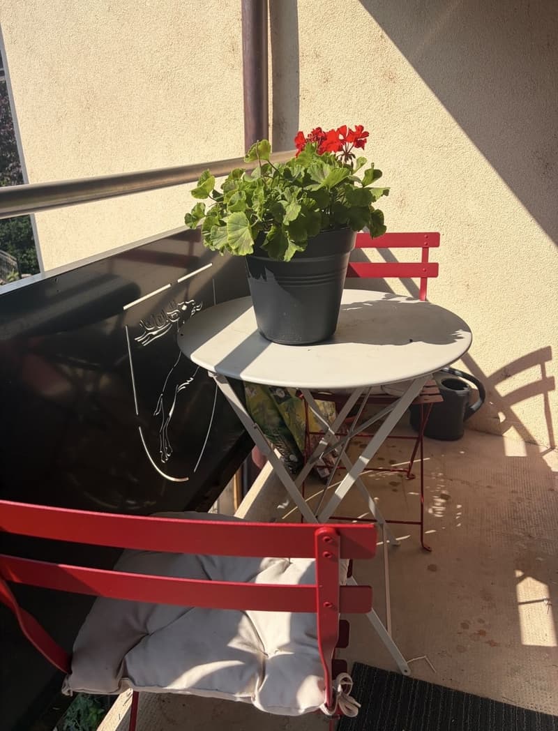 3,5 pièces lumineux, 85 m², cave et galetas  Concise (VD) (3)