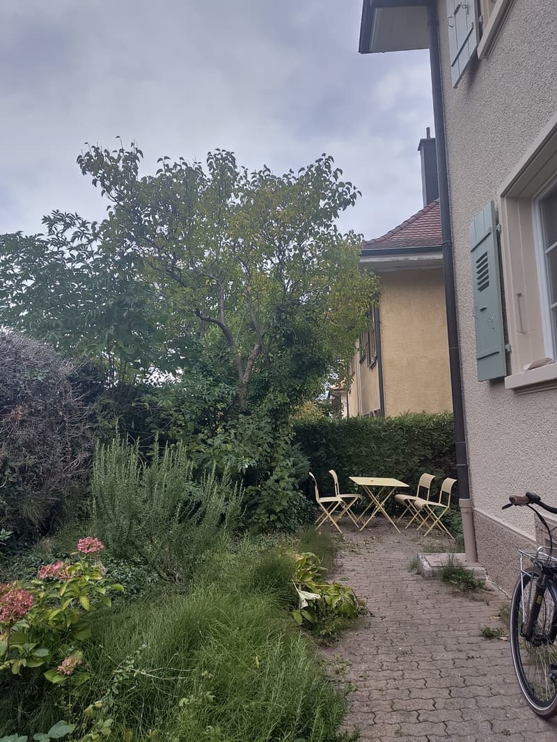 Appartement 3.5 pièces rénové en 2024 université miséricorde (3)
