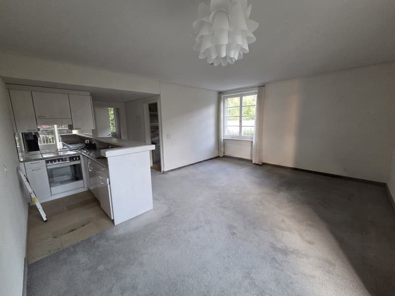 Helle, ruhige 2-Zimmer-Wohnung (1)