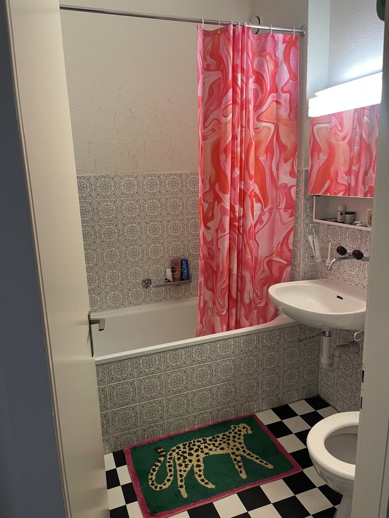 3-Zimmer Wohnung befristet (4)