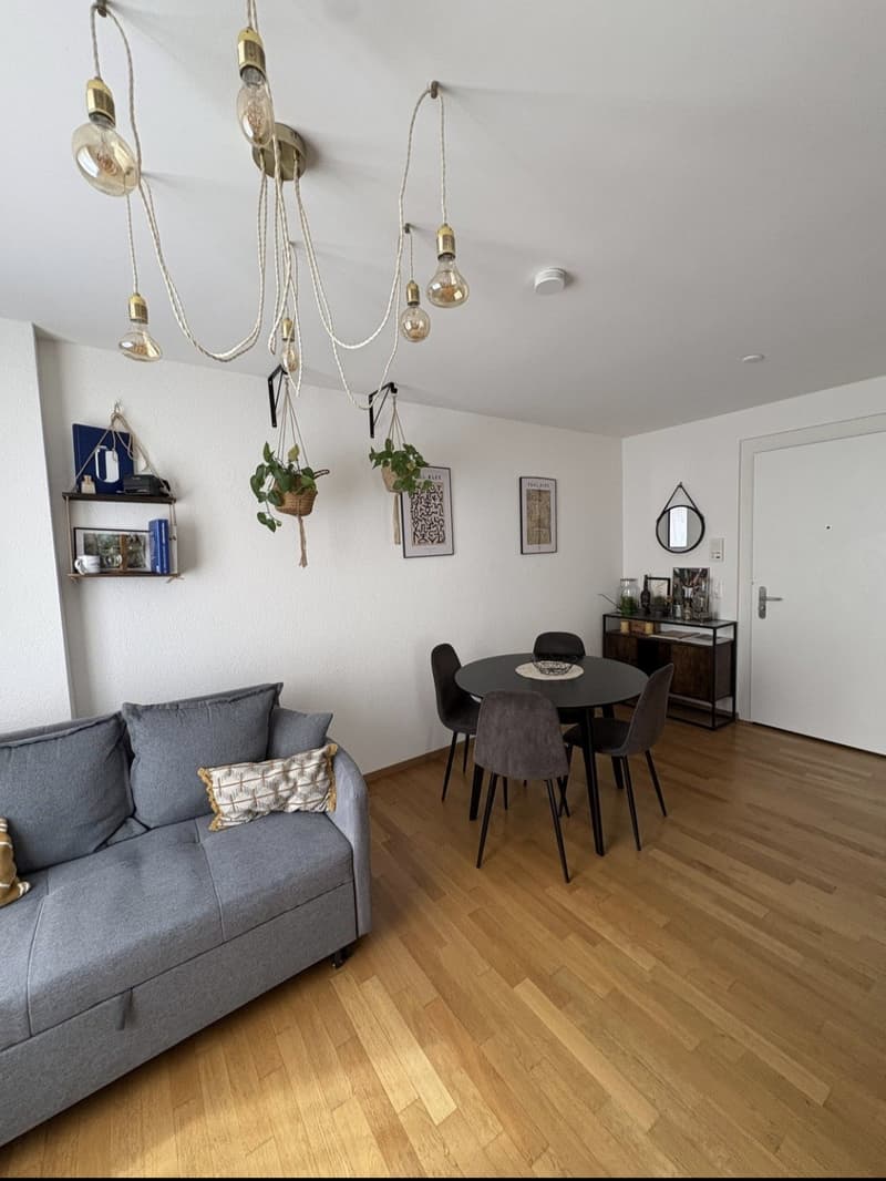 Central Apartment in Zürich 37 m² CHF 1,850 incl. utilities Available 01.12.2026 (2)