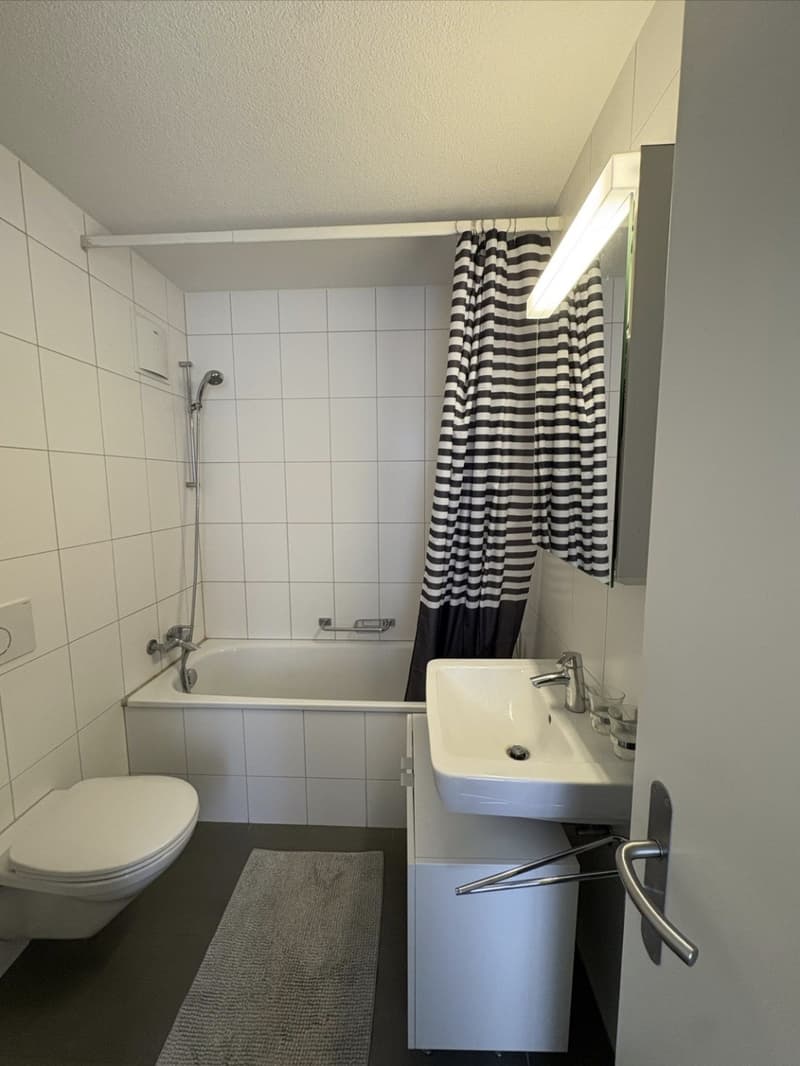 Central Apartment in Zürich 37 m² CHF 1,850 incl. utilities Available 01.12.2026 (5)