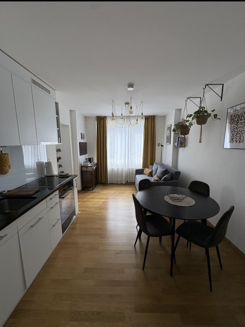 Central Apartment in Zürich 37 m² CHF 1,850 incl. utilities Available 01.12.2026 (1)