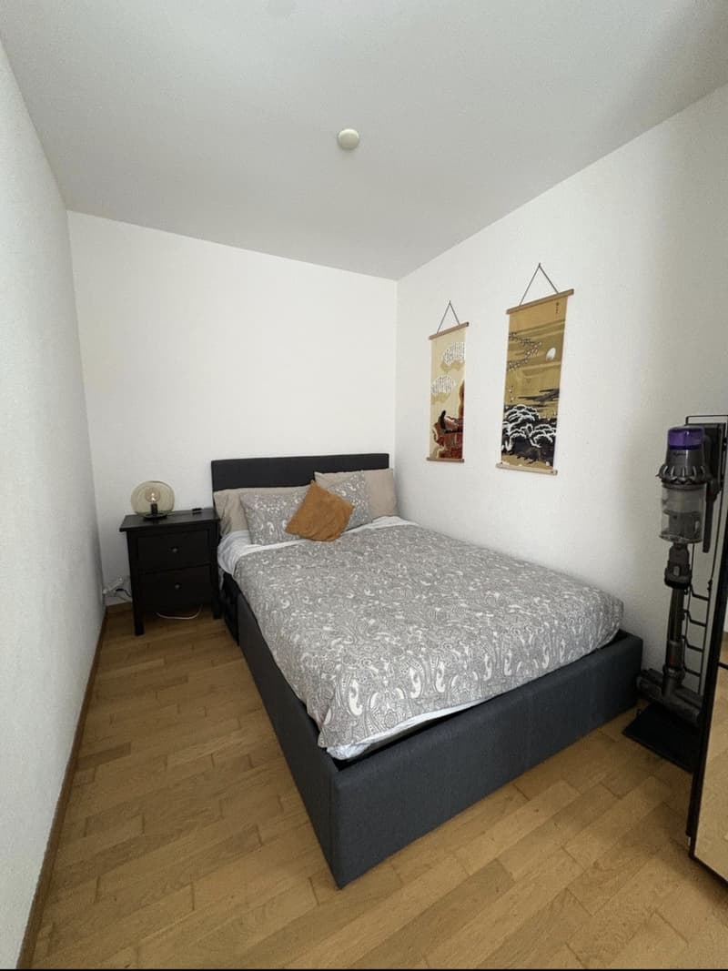 Central Apartment in Zürich 37 m² CHF 1,850 incl. utilities Available 01.12.2026 (4)