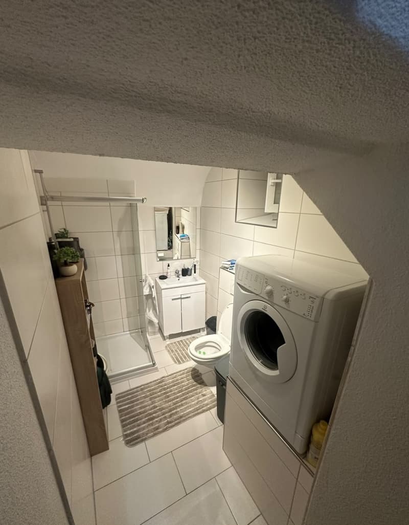 Charmante 1.5-Zimmer-Erdgeschosswohnung im Herzen des Dorfes (5)