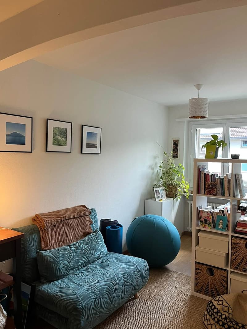 Möblierte 2.5-Zimmer-Wohnung in Zürich-Wollishofen zur Untermiete (Nov. 2026Apr. 2027) (3)