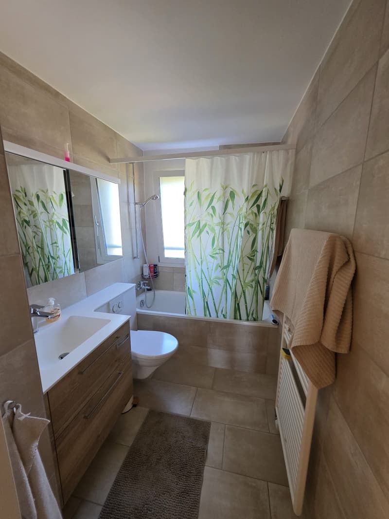 Schöne 3,5-Zimmer-Wohnung mit grossem Balkon in Fislisbach (5)