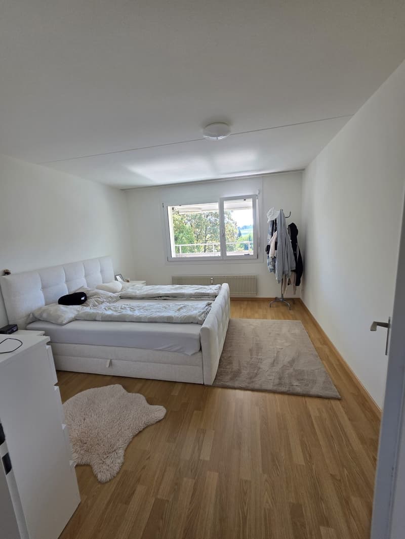 Schöne 3,5-Zimmer-Wohnung mit grossem Balkon in Fislisbach (3)