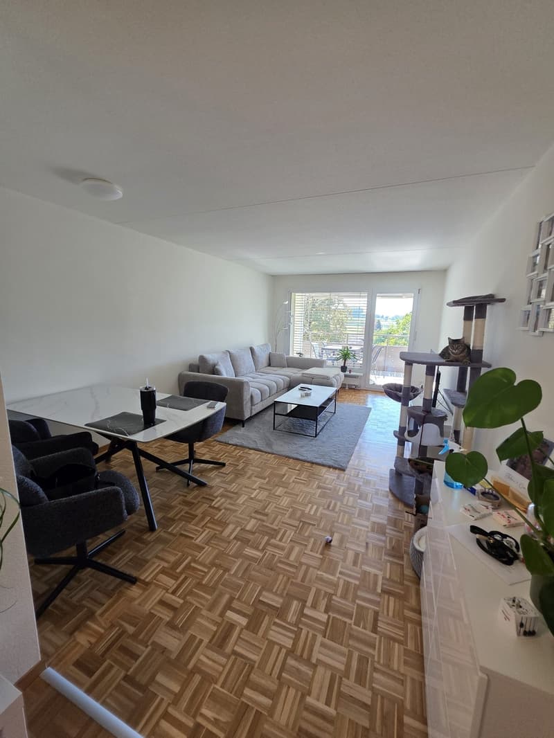 Schöne 3,5-Zimmer-Wohnung mit grossem Balkon in Fislisbach (1)