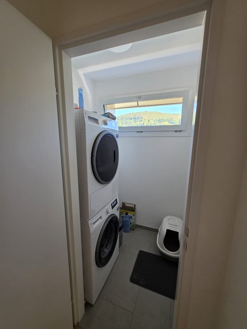 Schöne 3,5-Zimmer-Wohnung mit grossem Balkon in Fislisbach (7)