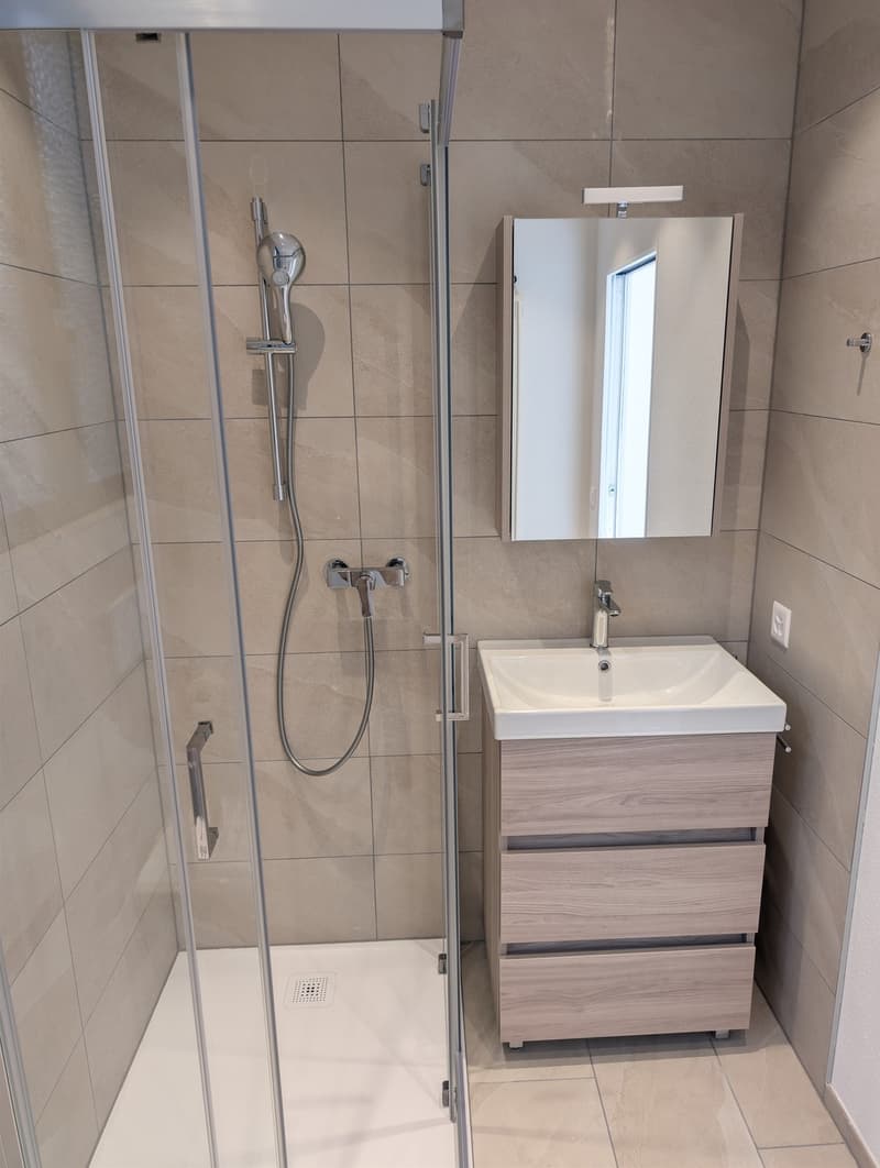Accogliente 2 locali nel cuore di Minusio CHF 990. (6)