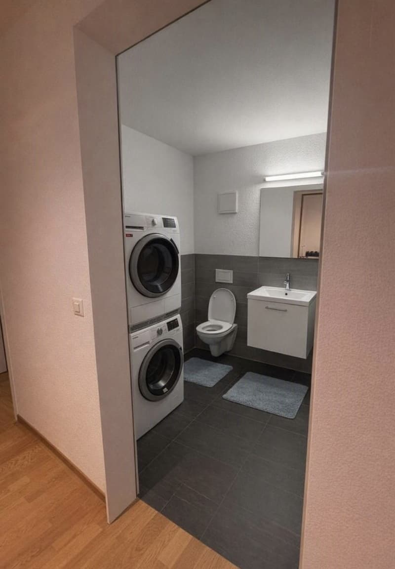 Helle 4.5-Zimmer-Wohnung mit schönem Terrassensitzplatz an ruhiger Lage (5)