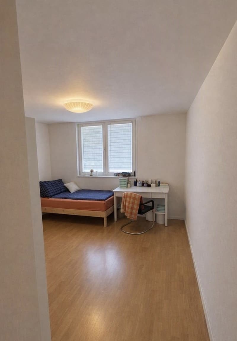 Helle 4.5-Zimmer-Wohnung mit schönem Terrassensitzplatz an ruhiger Lage (8)