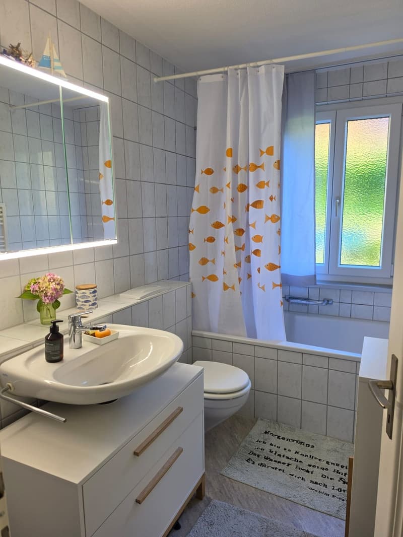 Helle 4-Zimmer-Wohnung in der Stadt Zug (7)