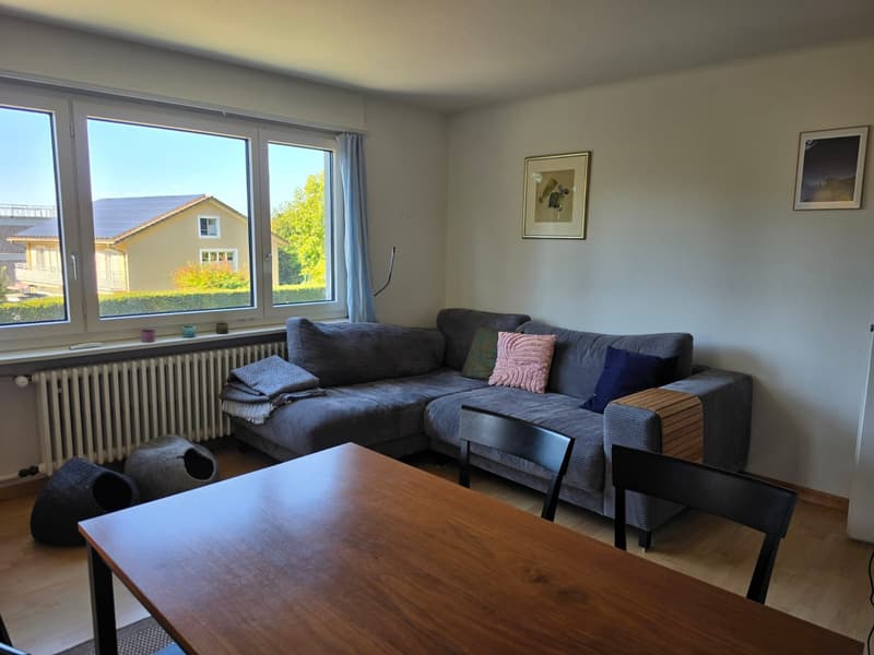 Helle 4-Zimmer-Wohnung in der Stadt Zug (1)