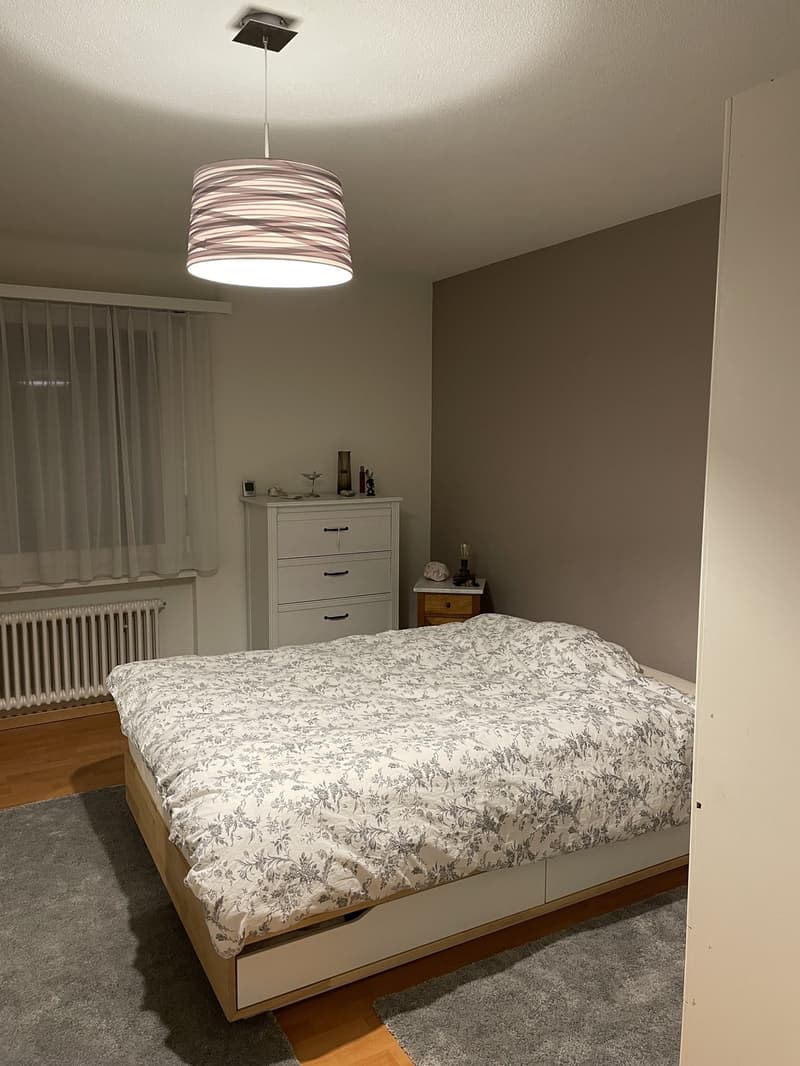 Schöne, helle, grosszügige 3.5 Zi Wohnung (11)