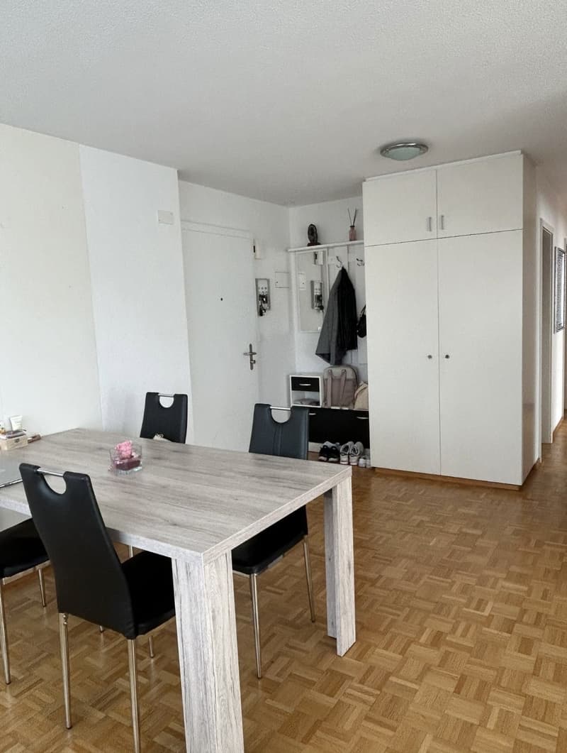Schöne, helle, grosszügige 3.5 Zi Wohnung (6)