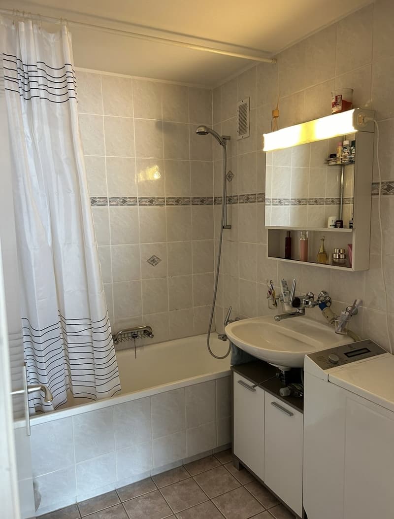 Schöne, helle, grosszügige 3.5 Zi Wohnung (5)