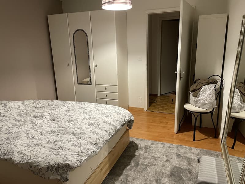 Schöne, helle, grosszügige 3.5 Zi Wohnung (10)