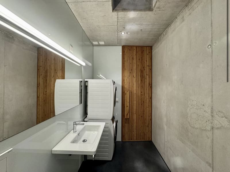 Einzigartige möbilierte 2-Zi.-Loft-Wohnung mit Sichtbeton & Oberlicht (6)