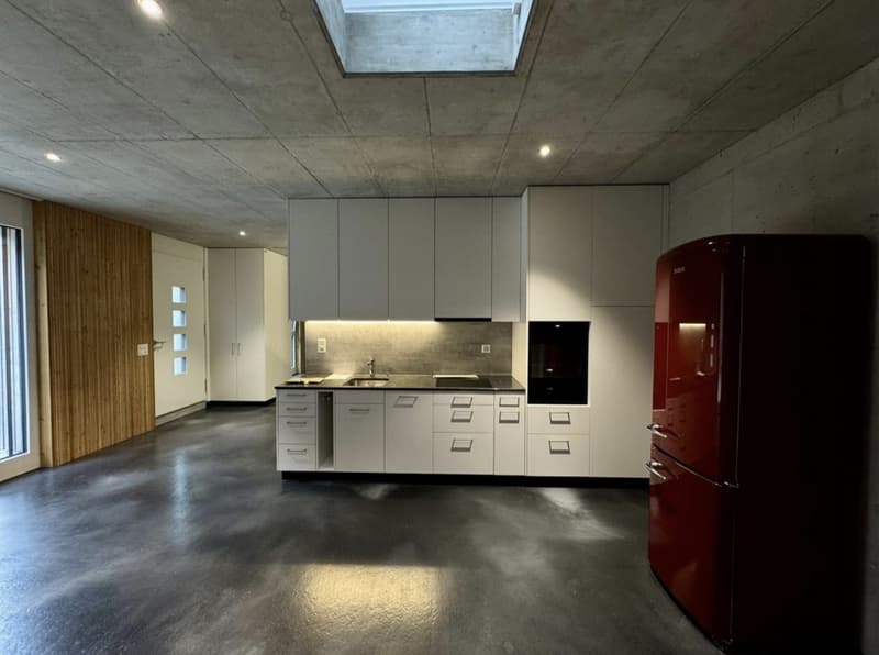 Einzigartige möbilierte 2-Zi.-Loft-Wohnung mit Sichtbeton & Oberlicht (2)