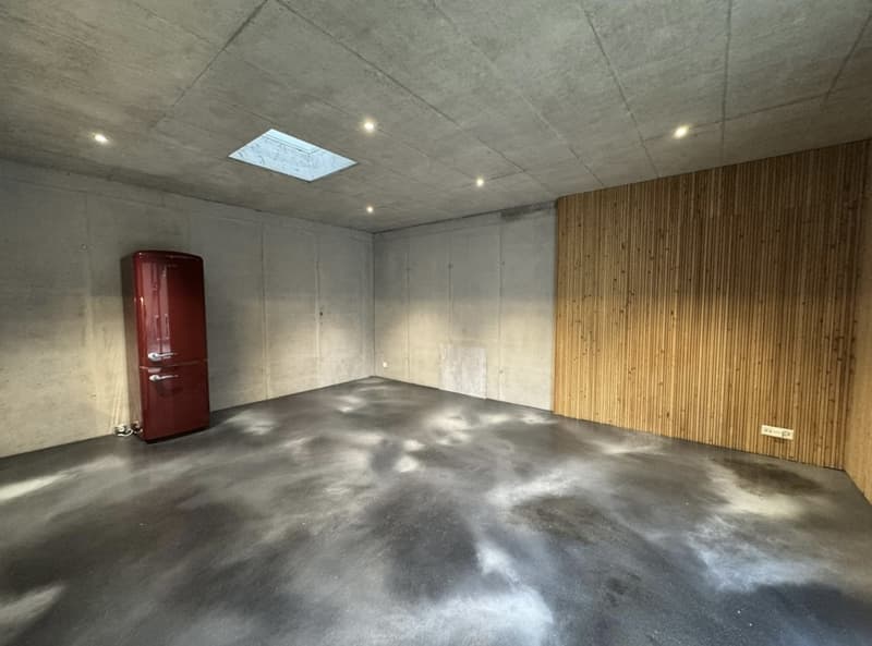 Einzigartige möbilierte 2-Zi.-Loft-Wohnung mit Sichtbeton & Oberlicht (3)