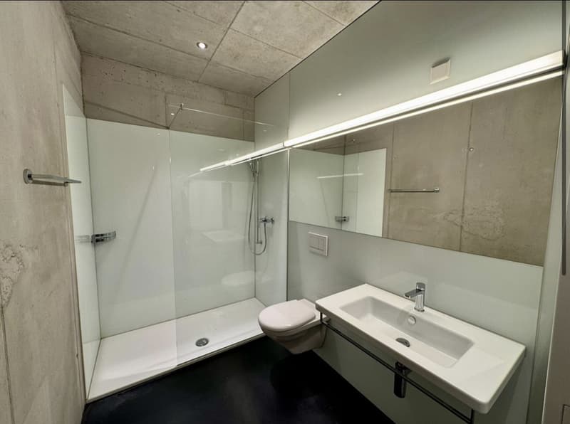 Einzigartige möbilierte 2-Zi.-Loft-Wohnung mit Sichtbeton & Oberlicht (5)