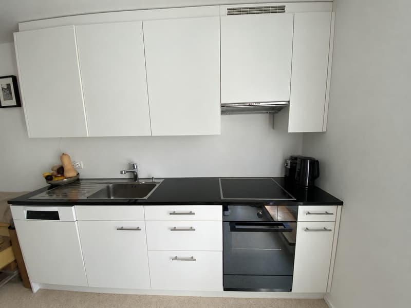 Gemütliche 36m² Wohnung mit Gartensitzplatz in Meilen / Cozy 36m² apartment with garden terrace in Meilen (5)
