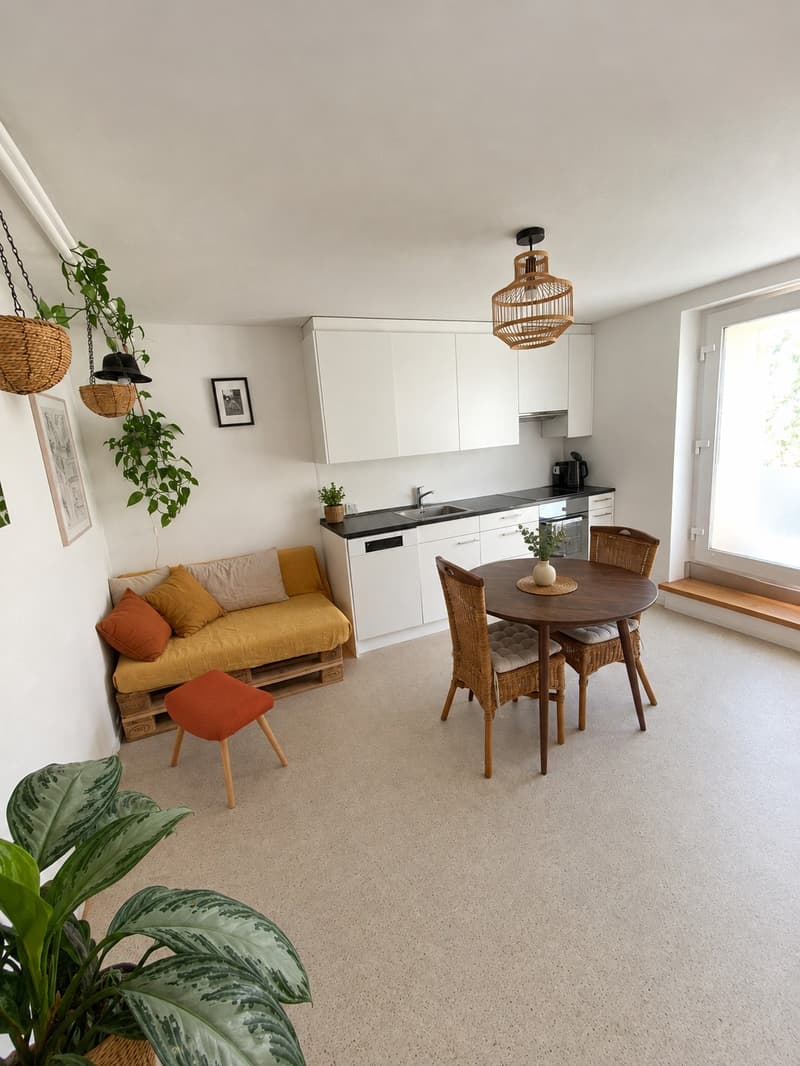 Gemütliche 36m² Wohnung mit Gartensitzplatz in Meilen / Cozy 36m² apartment with garden terrace in Meilen (4)