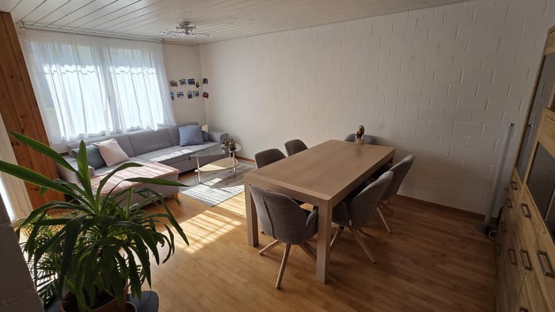 2 ½ rooms apartment, 8910 Affoltern am Albis (3)