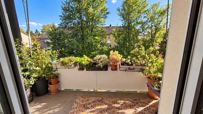 Zwei helle WG-Zimmer (13 & 15 m²) in gemütlicher 3er-WG mit 4 Zimmer Dübendorf (2)