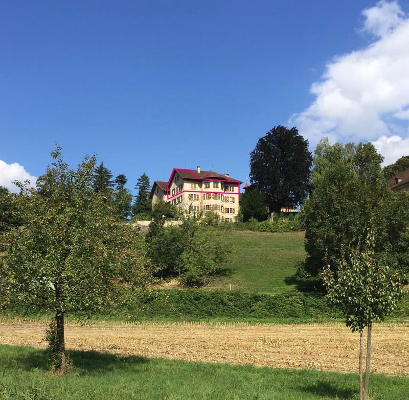 WG-Zimmer in Schloss zu vermieten (2)