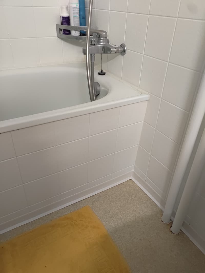 Gemütliche Singel Dachwohnung (3)