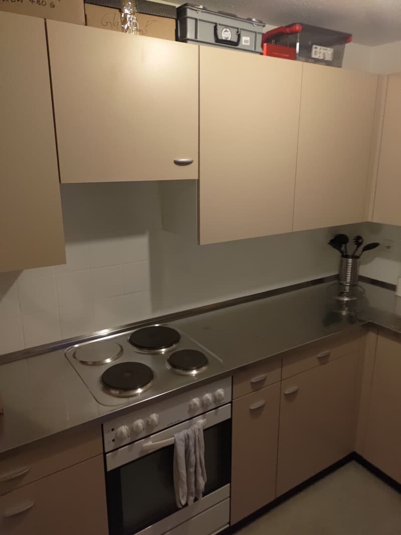 Gemütliche Singel Dachwohnung (2)