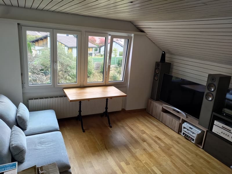 Gemütliche Singel Dachwohnung (1)