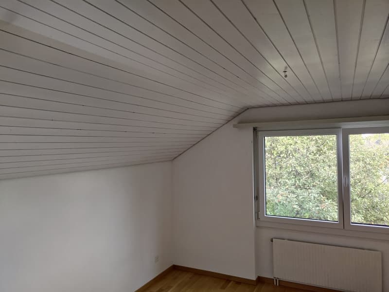 Gemütliche Singel Dachwohnung (5)