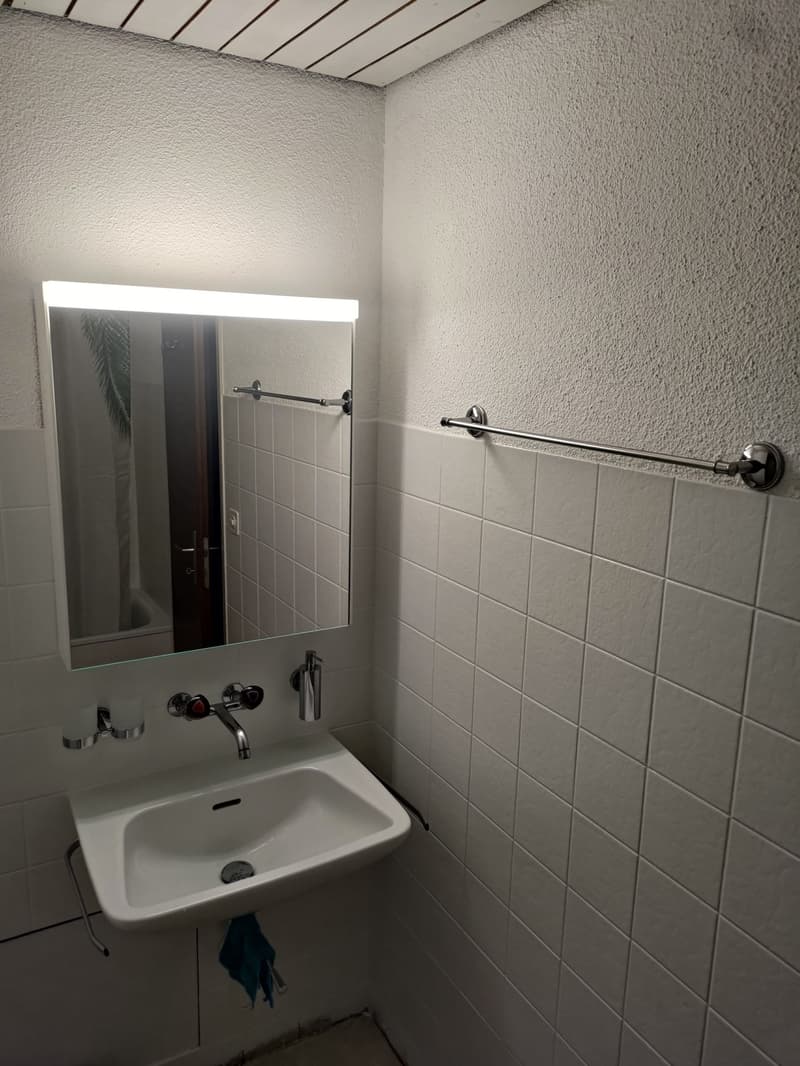 Gemütliche Singel Dachwohnung (4)