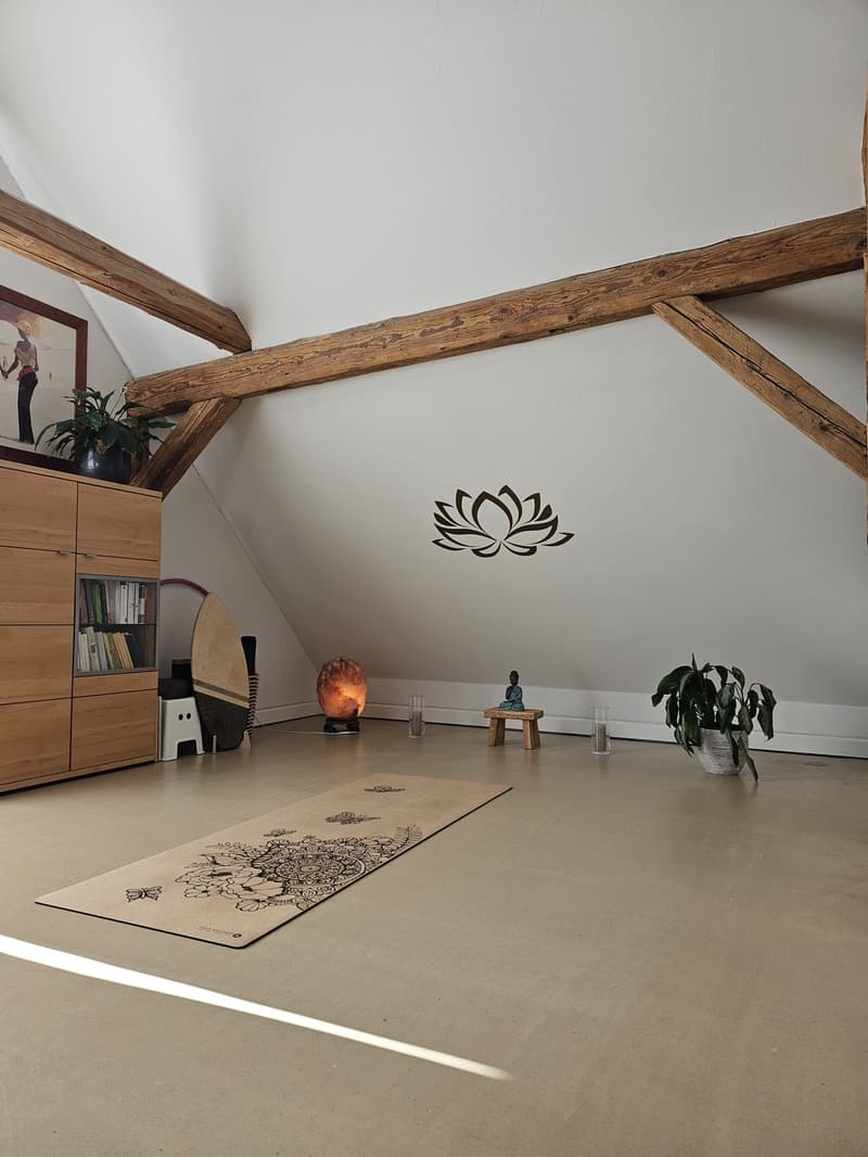 Altbau-Bijou unterm Dach: viel Raum, Holzbalken und eigenem Garten (2)