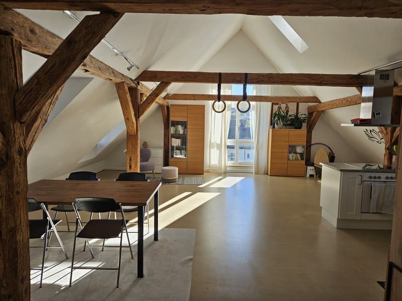 Altbau-Bijou unterm Dach: viel Raum, Holzbalken und eigenem Garten (1)